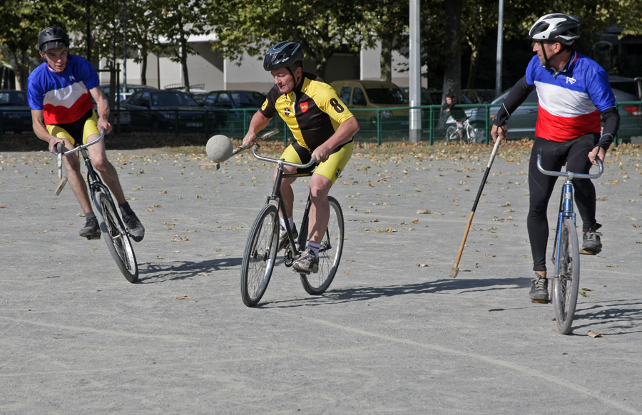 polo (203).jpg